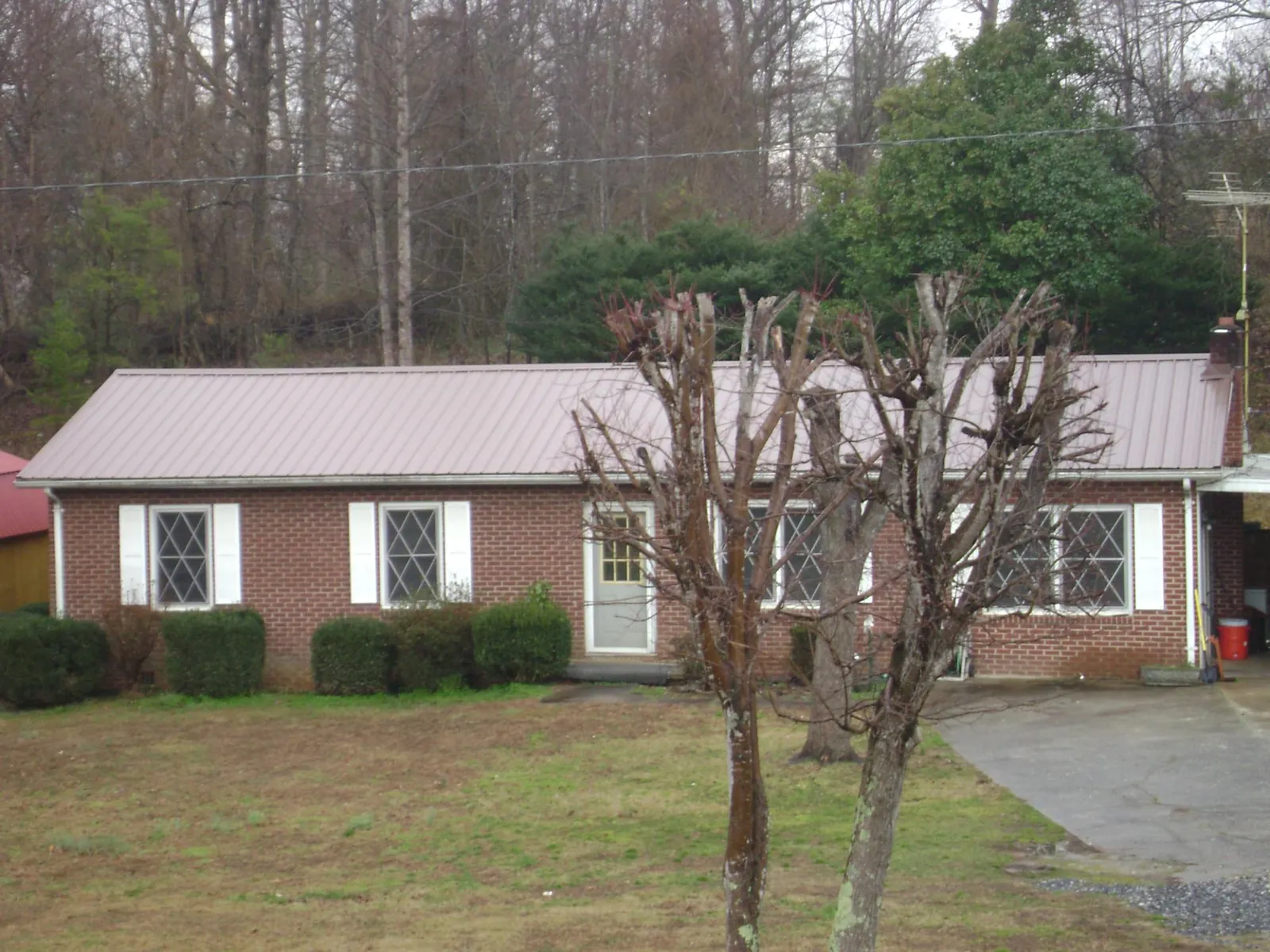 Mauve metal roof on a brick ranch home behind bare trees in Swan Valley